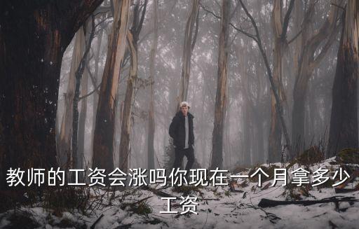 山東工藝美院講師工資多少一月,你現(xiàn)在一個(gè)月拿多少工資