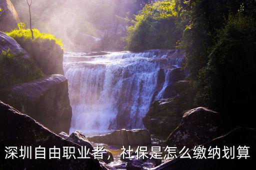 自由人員在深圳怎么買社保,深圳自由職業者