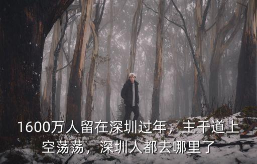 深圳住多少人,長期居住在深圳的人