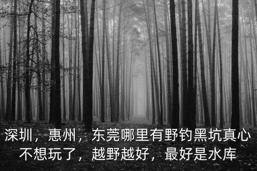深圳，惠州，東莞哪里有野釣黑坑真心不想玩了，越野越好，最好是水庫