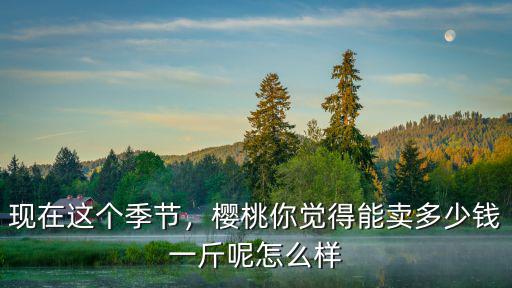 廣州美早櫻桃多少錢一斤,櫻桃你覺得能賣多少錢一斤呢
