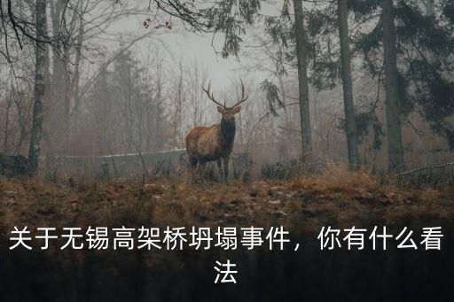 關于無錫高架橋坍塌事件，你有什么看法