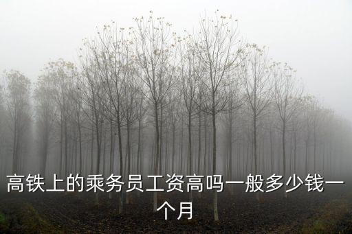 廣州艾麥高鐵乘服員多少錢一個月,高鐵上的乘務員工資高嗎