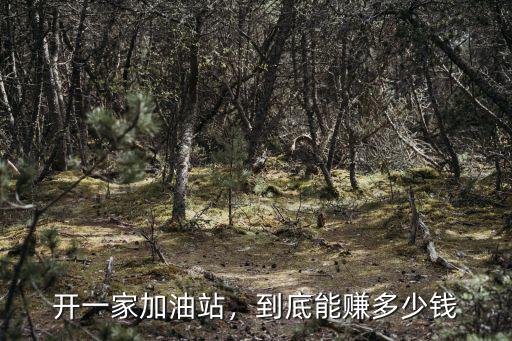 山東承包加油站多少錢,開一家加油站
