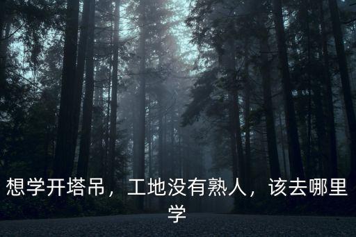 東莞哪里可以學塔吊,想學開塔吊應該去哪里學