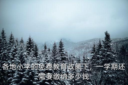 深圳公立小學繳多少錢,花錢可買公立小學學位