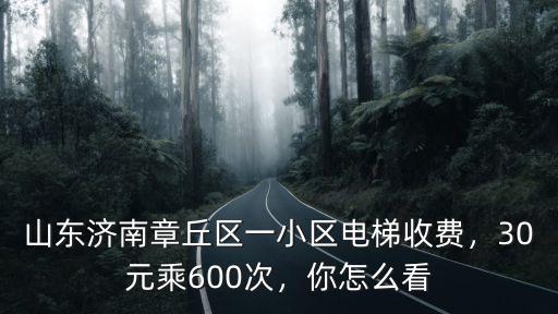 山東濟南章丘區一小區電梯收費，30元乘600次，你怎么看