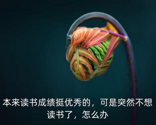 本來讀書成績挺優秀的，可是突然不想讀書了，怎么辦