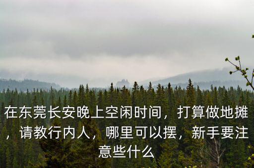 東莞南城哪里擺地?cái)側(cè)硕?哪里城市夜市多