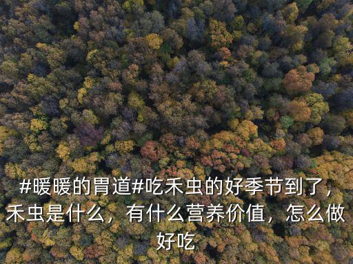 #暖暖的胃道#吃禾蟲的好季節到了，禾蟲是什么，有什么營養價值，怎么做好吃