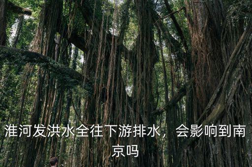 今年南京洪水多少,今年雨水為何這么多