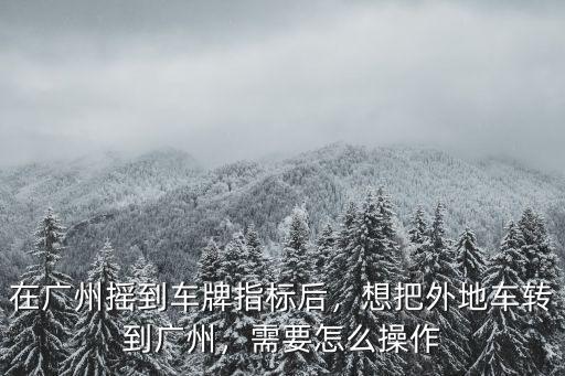 廣州車牌搖號(hào)怎么撤銷,在廣州搖到車牌指標(biāo)后