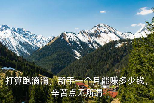 打算跑滴滴，新手一個月能賺多少錢，辛苦點無所謂