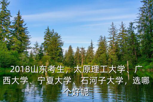 2018山東考生，太原理工大學、廣西大學、寧夏大學、石河子大學，選哪個好呢