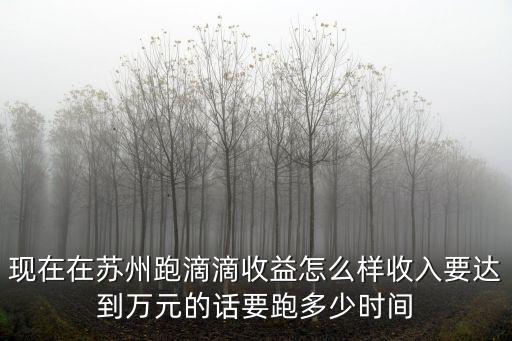 現在在蘇州跑滴滴收益怎么樣收入要達到萬元的話要跑多少時間