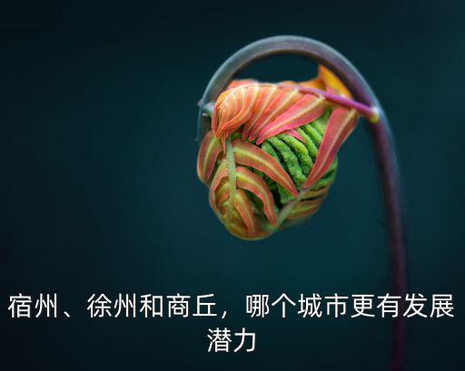 宿州、徐州和商丘，哪個城市更有發(fā)展?jié)摿? class=