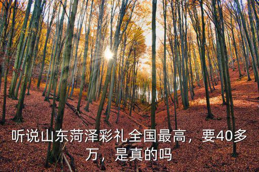 山東菏澤彩禮總共多少錢,現在菏澤結婚的彩禮是多少