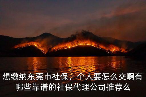 想繳納東莞市社保，個人要怎么交啊有哪些靠譜的社保代理公司推薦么
