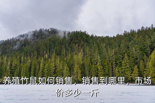 廣州哪里有竹鼠批發,哪里有竹鼠賣