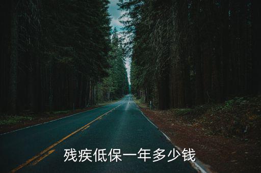 常州重殘人員二級(jí)每月多少錢,每月會(huì)補(bǔ)助多少錢