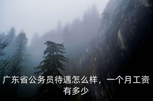 中山四級科員待遇怎么樣,廣東省公務員待遇怎么樣