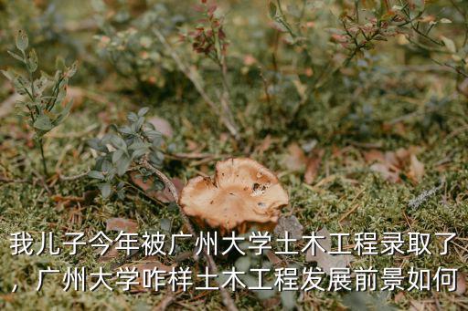 廣州大學(xué)心理學(xué)平均多少分,廣州大學(xué)的應(yīng)用心理學(xué)