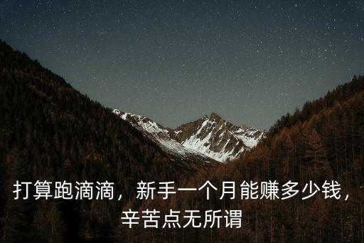 打算跑滴滴，新手一個月能賺多少錢，辛苦點無所謂