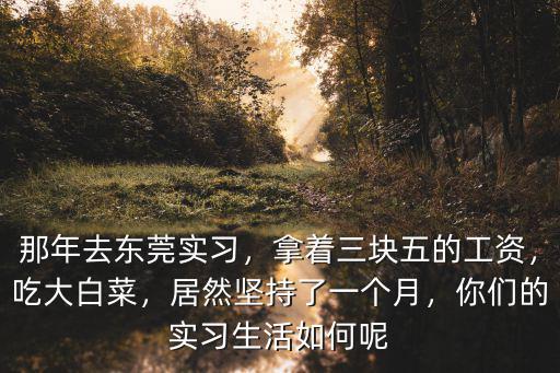 那年去東莞實習，拿著三塊五的工資，吃大白菜，居然堅持了一個月，你們的實習生活如何呢