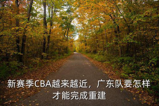 新賽季CBA越來越近，廣東隊要怎樣才能完成重建