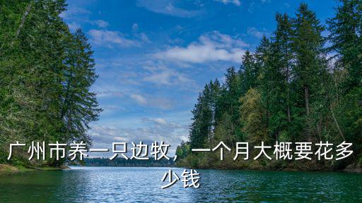 在廣州訓練一只狗要多少錢,一個月大概要花多少錢