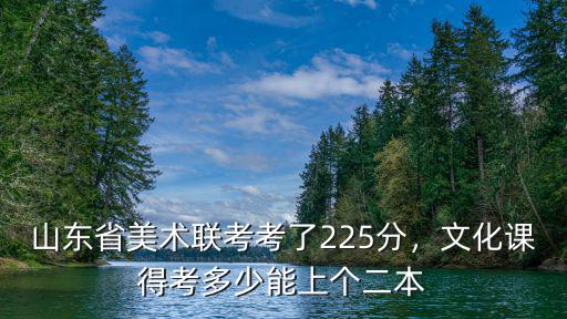 山東省美術統考多少分能上本科,山東美術統考229分
