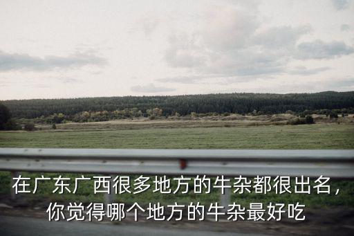 在廣東廣西很多地方的牛雜都很出名，你覺得哪個地方的牛雜最好吃