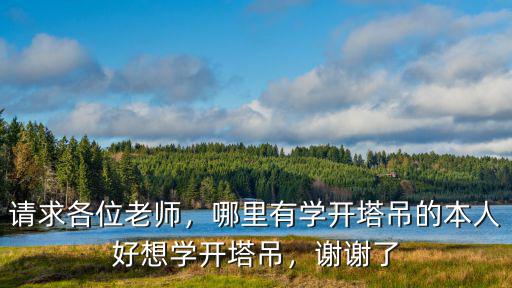 佛山哪里可以學塔吊證,哪里有學開塔吊的