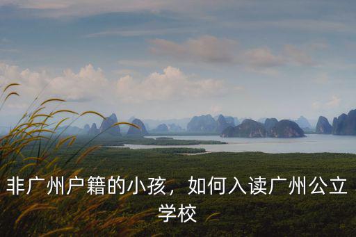 非廣州戶籍的小孩，如何入讀廣州公立學校