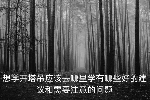 想學開塔吊應該去哪里學有哪些好的建議和需要注意的問題