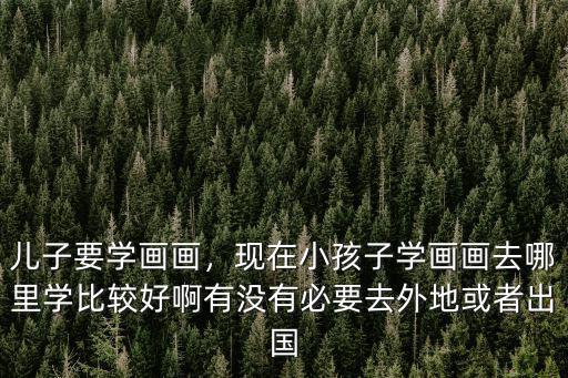 兒子要學(xué)畫(huà)畫(huà)，現(xiàn)在小孩子學(xué)畫(huà)畫(huà)去哪里學(xué)比較好啊有沒(méi)有必要去外地或者出國(guó)