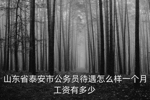 2020年泰安市教師工資長多少,一個月工資有多少