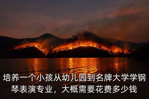 菏澤小孩學鋼琴多少錢,大概需要花費多少錢