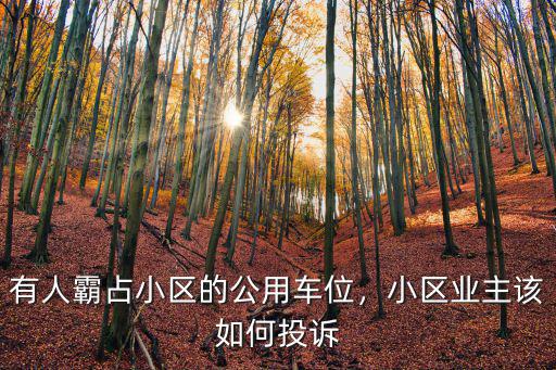 有人霸占小區(qū)的公用車位，小區(qū)業(yè)主該如何投訴