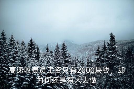 聊城高速收費(fèi)站工資是多少,都是年輕漂亮女生