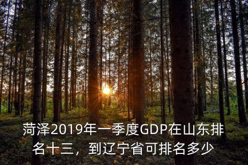 菏澤2019年一季度GDP在山東排名十三，到遼寧省可排名多少