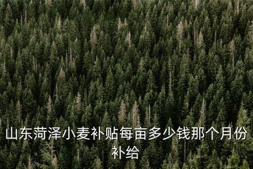 山東小麥直補每畝多少錢,山東菏澤小麥補貼每畝多少錢
