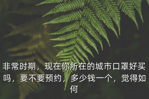 非常時期，現在你所在的城市口罩好買嗎，要不要預約，多少錢一個，覺得如何