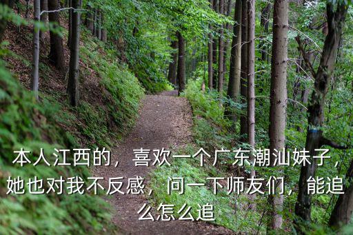 本人江西的，喜歡一個廣東潮汕妹子，她也對我不反感，問一下師友們，能追么怎么追