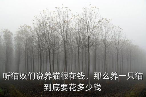 聽貓奴們說養(yǎng)貓很花錢，那么養(yǎng)一只貓到底要花多少錢