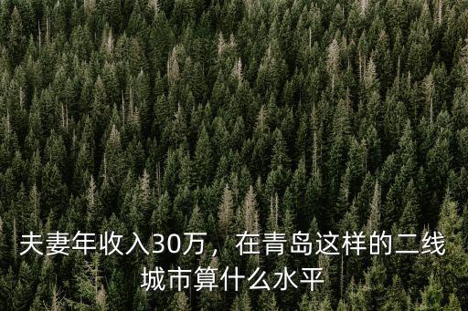 青島有多少家庭年收入100萬,夫妻年收入100萬