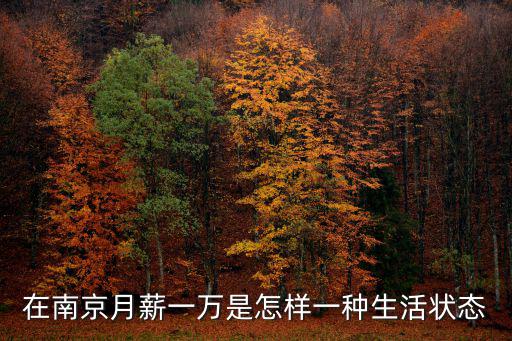 在南京月薪一萬(wàn)是怎樣一種生活狀態(tài)