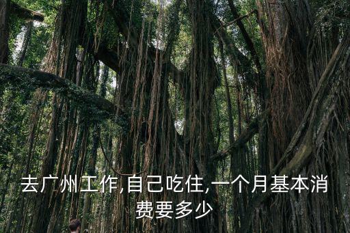 廣州住宿一個(gè)月多少錢一天,你一個(gè)月花多少錢夠用
