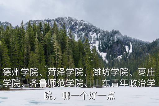山東省排多少名上棗莊學(xué)院,濱州學(xué)院和濰坊學(xué)院比較