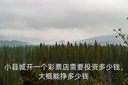小縣城開一個彩票店需要投資多少錢，大概能掙多少錢